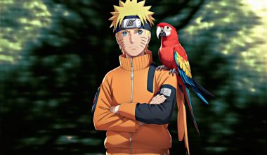 Naruto's Casual Chic Unpacking the Fashion Statement of a Beloved Anime Icon - Alihoub